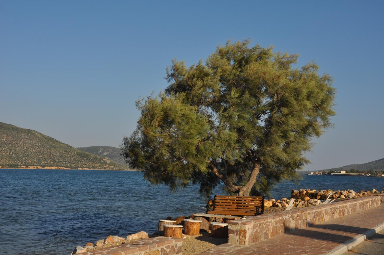 Ariadnes Holiday Accommodation Apidias Lakos Bagian luar foto